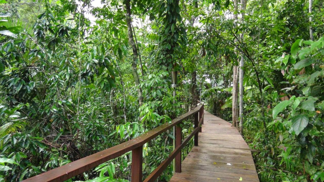 Heritage Lodge - In The Daintree Zewnętrze zdjęcie