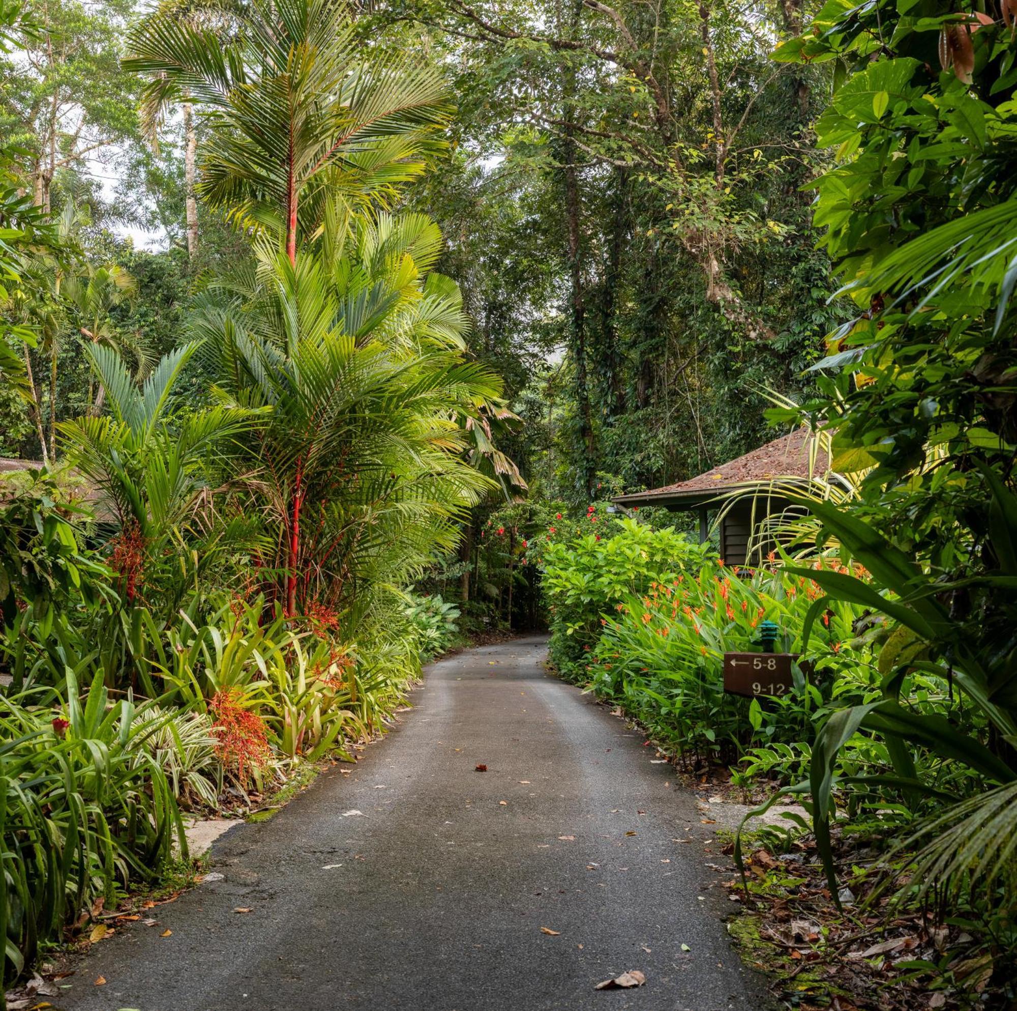Heritage Lodge - In The Daintree Zewnętrze zdjęcie