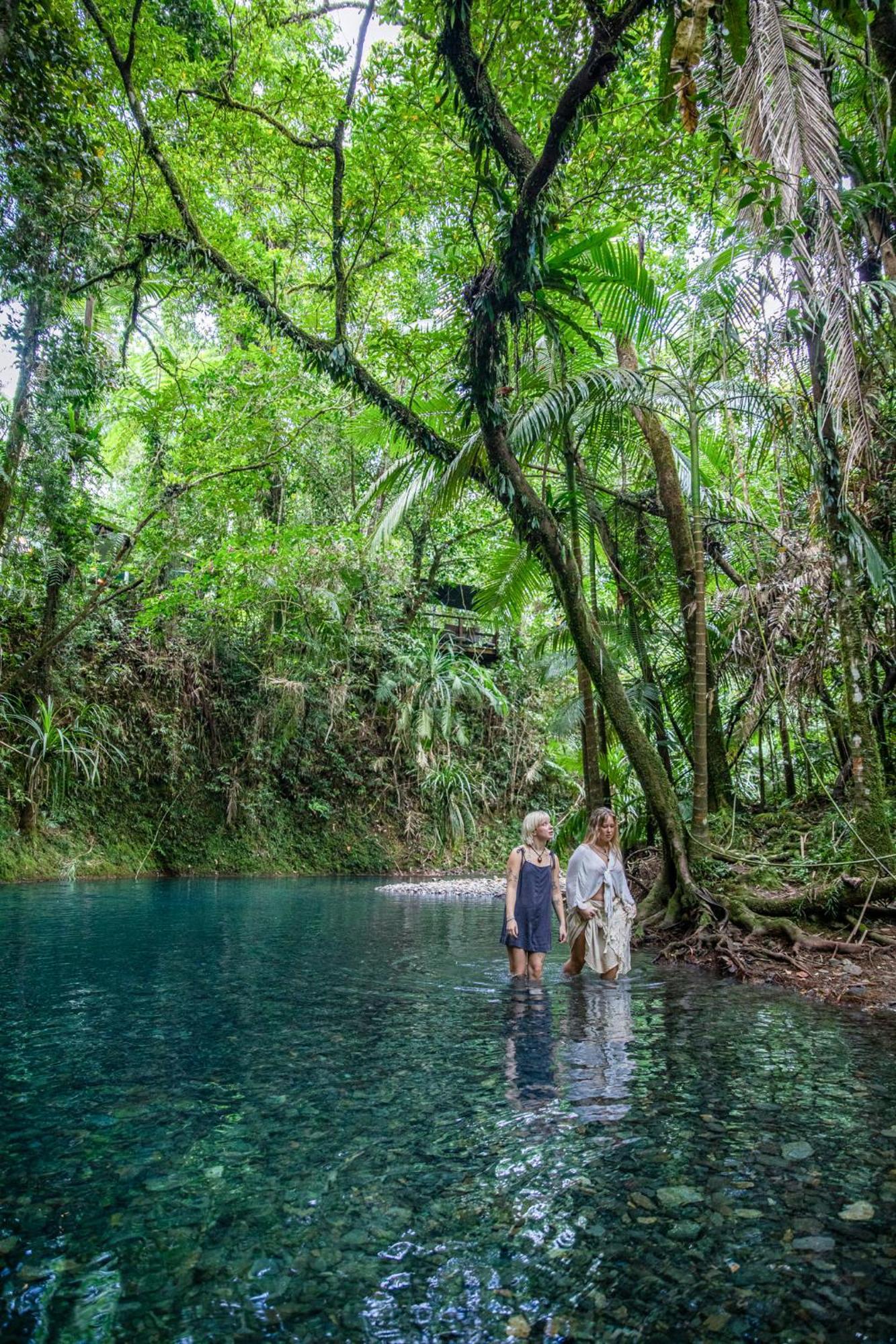 Heritage Lodge - In The Daintree Zewnętrze zdjęcie