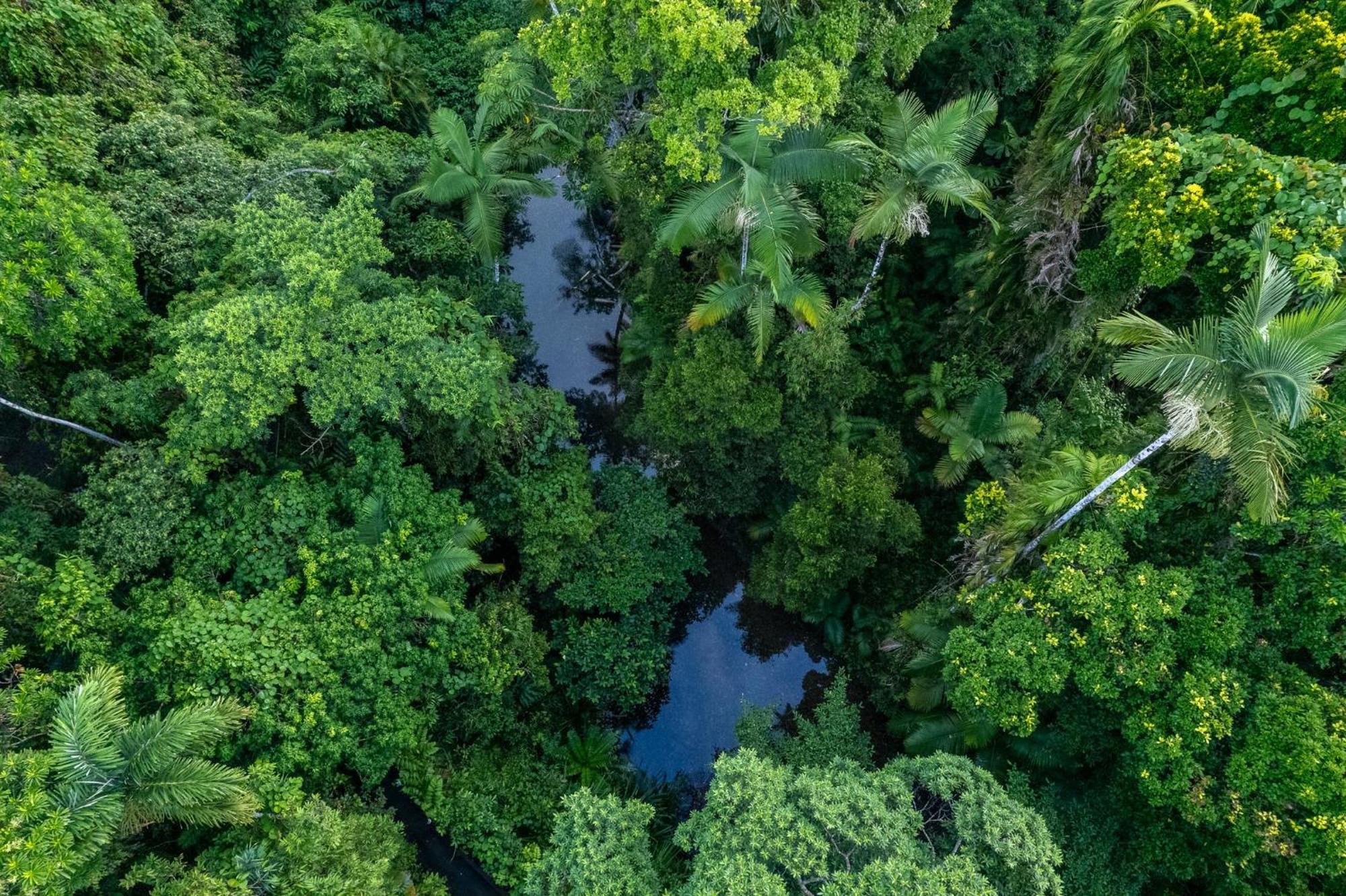 Heritage Lodge - In The Daintree Zewnętrze zdjęcie