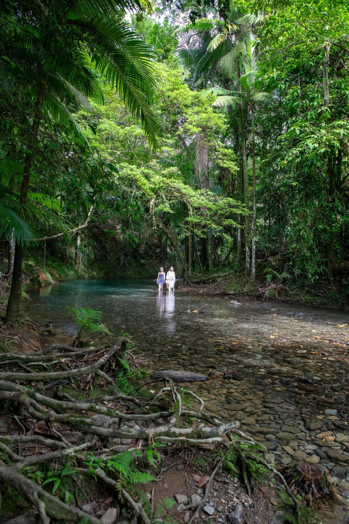 Heritage Lodge - In The Daintree Zewnętrze zdjęcie