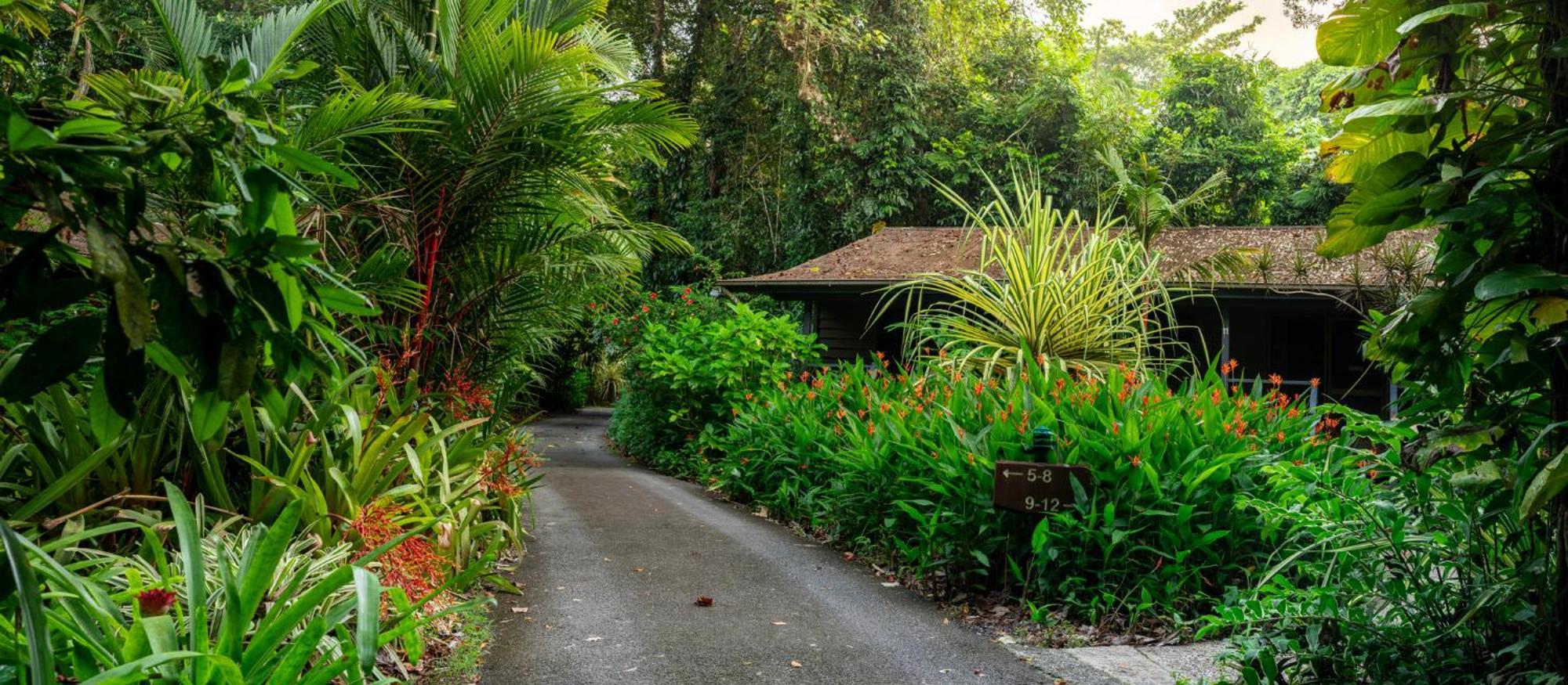 Heritage Lodge - In The Daintree Zewnętrze zdjęcie