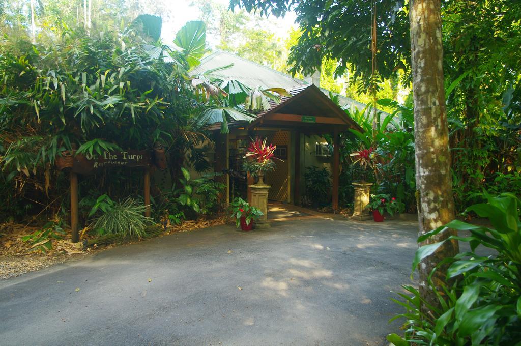 Heritage Lodge - In The Daintree Zewnętrze zdjęcie
