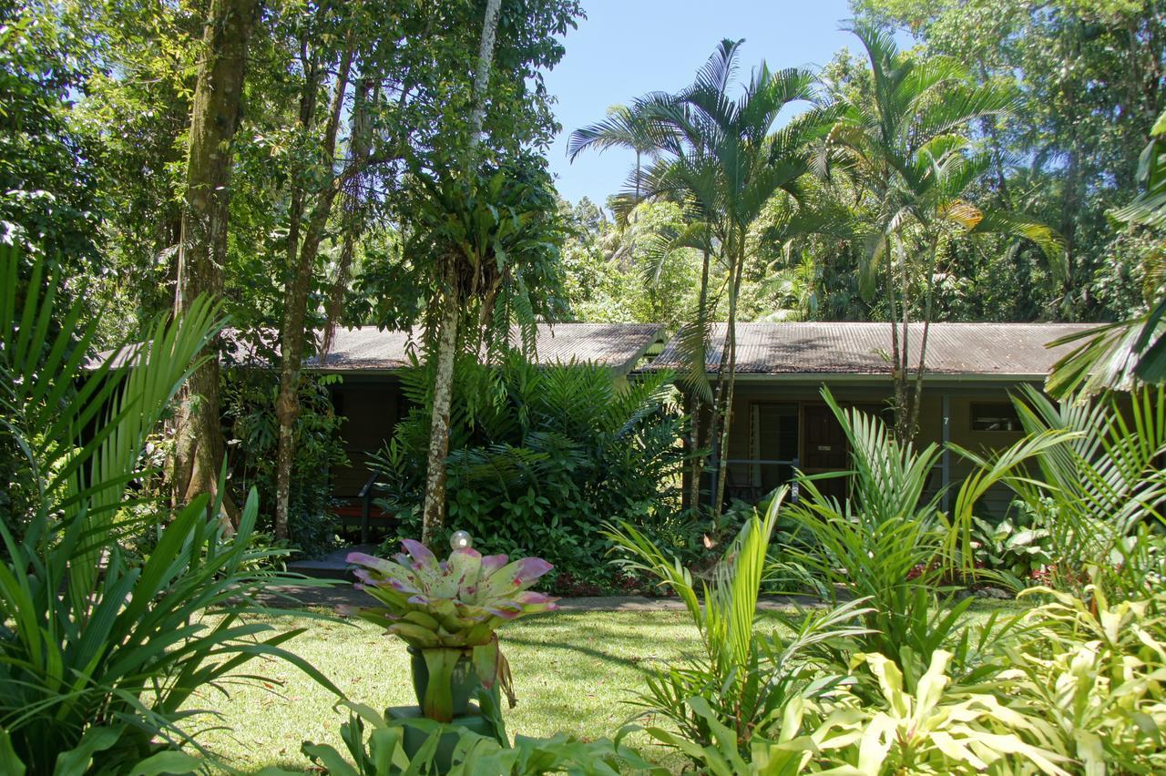 Heritage Lodge - In The Daintree Zewnętrze zdjęcie