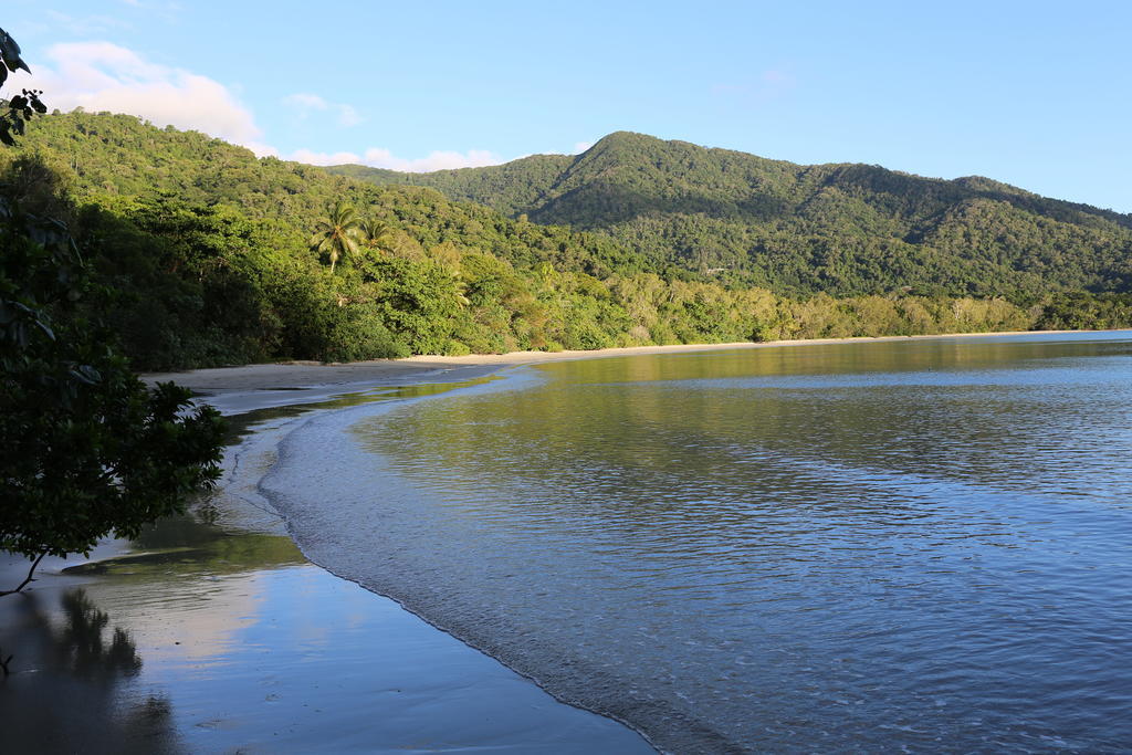 Heritage Lodge - In The Daintree Zewnętrze zdjęcie