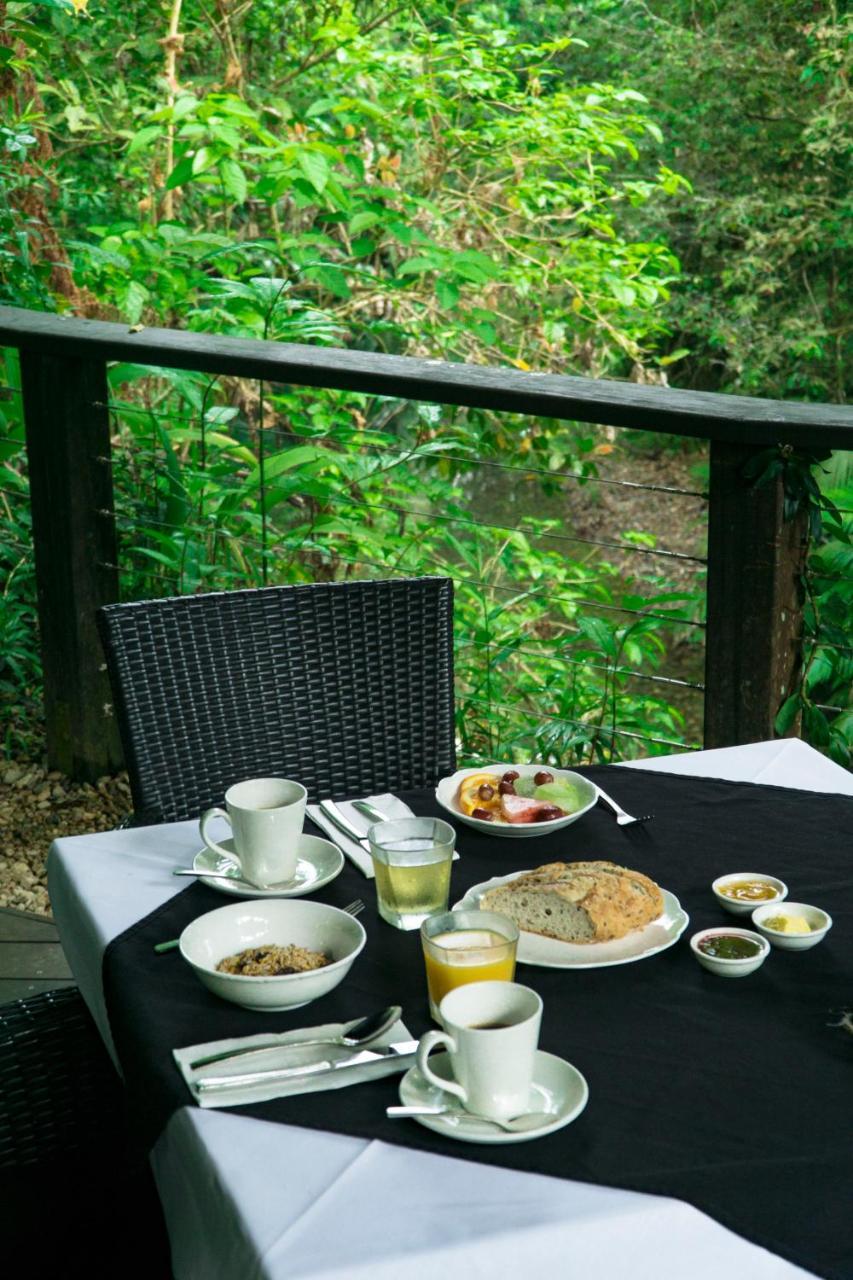 Heritage Lodge - In The Daintree Zewnętrze zdjęcie